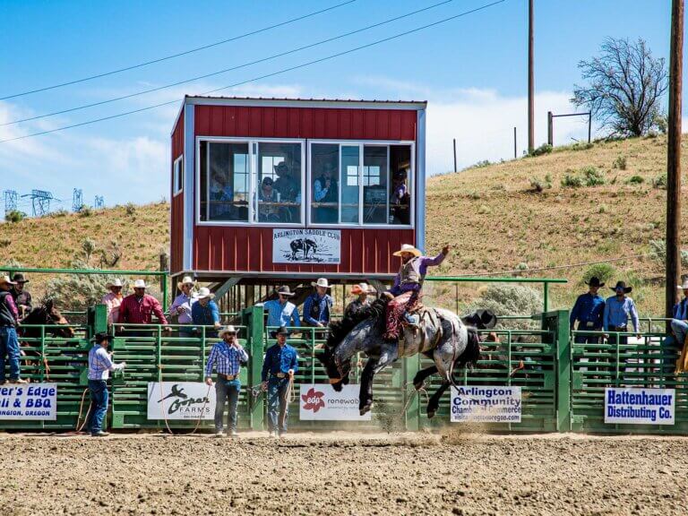 A saddle-bronc rider participates in a rodeo.